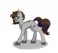 Size: 2100x1900 | Tagged: safe, artist:yuuzzzu, imported from derpibooru, oc, oc only, oc:cj vampire, earth pony, pony, brown mane, brown tail, green eyes, grey fur, hooves, looking at you, looking back, looking back at you, photo, purple tail highlight, smiling, smiling at you, solo, tail, walking