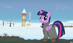 Size: 5000x3000 | Tagged: safe, artist:a4r91n, imported from derpibooru, twilight sparkle, alicorn, pony, boots, clothes, coat, female, fence, looking at you, mare, scenery, shoes, snow, tower, tree, twilight sparkle (alicorn), winter