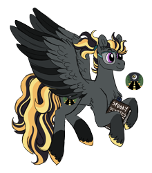 Size: 3143x3572 | Tagged: safe, artist:queenderpyturtle, imported from derpibooru, oc, oc:highway hypnosis, pegasus, pony, book, male, simple background, solo, stallion, transparent background