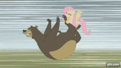Size: 640x360 | Tagged: safe, imported from derpibooru, screencap, fluttershy, harry, bear, pegasus, pony, lesson zero, season 2, animated, duo, eyes closed, female, gif, gifs.com, male, mare, open mouth