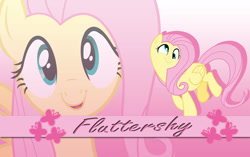 Size: 1290x810 | Tagged: safe, artist:xelborrex, imported from derpibooru, fluttershy, pegasus, pony, cute, derp, female, mare, shyabetes, wallpaper