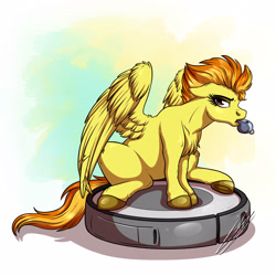 Size: 3000x3000 | Tagged: safe, artist:lupiarts, imported from derpibooru, spitfire, pegasus, pony, annoyed, behaving like a cat, blowing whistle, cute, cutefire, digital art, drawing, female, mouth hold, ponies riding roombas, riding, roomba, silly, silly pony, solo, spitfire is not amused, spitfire's whistle, that pony sure does love whistles, unamused, whistle