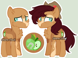 Size: 1211x908 | Tagged: safe, artist:stormcloud-yt, imported from derpibooru, oc, oc only, earth pony, pony, base used, chest fluff, duo, ear fluff, earth pony oc, hat, male, offspring, parent:applejack, parent:trouble shoes, parents:troublejack, simple background, stallion