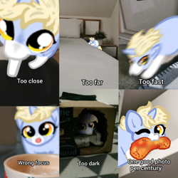 Size: 640x640 | Tagged: safe, artist:nootaz, imported from derpibooru, oc, oc:nootaz, pony, cheetos, irl, mouth hold, one eye closed, photo, ponies in real life, ponified animal photo