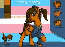Size: 2100x1500 | Tagged: safe, artist:hemlock conium, imported from derpibooru, oc, oc:boopy doopy, pegasus, clothes, confused, dialogue, digital art, english, female, happy, jacket, mare, pegasus oc, prettiest mare, pretty, pride, pride flag, reference sheet, sad, simple background, solo, text, transgender, transgender pride flag