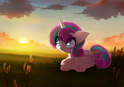 Size: 1280x900 | Tagged: safe, artist:skyeypony, imported from derpibooru, princess flurry heart, alicorn, pony, cloud, cute, female, filly, flurrybetes, foal, grass, older, older flurry heart, smiling, solo, sunset