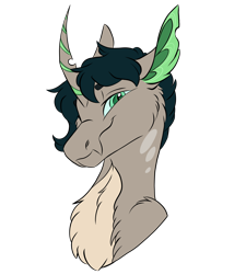 Size: 1920x2134 | Tagged: safe, artist:ask-y, imported from derpibooru, oc, oc only, pony, unicorn, bust, chest fluff, curved horn, ear fluff, green eyes, horn, looking at you, male, simple background, stallion, transparent background, unicorn oc