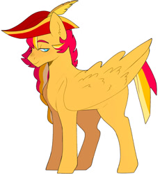 Size: 837x908 | Tagged: safe, artist:delzol, imported from derpibooru, oc, oc only, pegasus, pony, hat, male, pegasus oc, pirate hat, simple background, solo, stallion, white background, wings