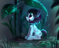 Size: 1270x1037 | Tagged: safe, artist:biotari, imported from derpibooru, oc, oc only, oc:snowbi heart, pegasus, pony, crying, female, lilypad, looking up, mare, plant, sitting, solo