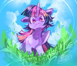 Size: 296x256 | Tagged: safe, artist:sibashen, imported from derpibooru, twilight sparkle, alicorn, pony, female, grass, horn, looking at you, looking down, looking down at you, mare, solo, twilight sparkle (alicorn)