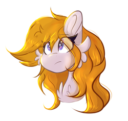 Size: 2102x1992 | Tagged: safe, artist:tizhonolulu, imported from derpibooru, oc, oc only, oc:cookie byte, pegasus, pony, bust, cheek fluff, chest fluff, eye clipping through hair, eyebrows, eyebrows visible through hair, eyelashes, female, frown, high res, mare, pegasus oc, portrait, simple background, solo, white background