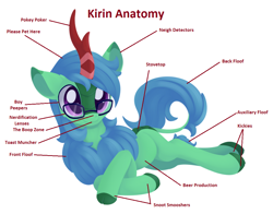 Size: 1024x801 | Tagged: safe, artist:dusthiel, edit, imported from derpibooru, oc, oc only, oc:lex rudera, kirin, pony, anatomy, anatomy chart, anatomy guide, chart, cute, glasses, kirin beer, kirin beer is pee, kirin oc, kirinbetes, lying down, male, prone, simple background, solo, stallion, white background