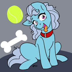 Size: 1000x1000 | Tagged: safe, artist:/d/non, imported from derpibooru, screw loose, earth pony, pony, ball, behaving like a dog, bone, collar, februpony, female, gray background, grey hair, mare, open mouth, simple background, sitting, tennis ball, tongue out, wide eyes