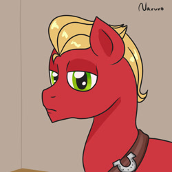 Size: 1024x1024 | Tagged: safe, artist:wrath-marionphauna, imported from derpibooru, sprout cloverleaf, earth pony, pony, badge, digital art, g4 style, g5, male, my little pony: a new generation, sheriff's badge, solo, stallion