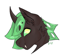 Size: 2160x1620 | Tagged: safe, artist:v-nuz, imported from derpibooru, changeling, insect, bust, green changeling, portrait, simple background, solo, transparent background