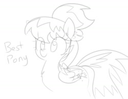 Size: 1168x909 | Tagged: safe, artist:wafflecakes, cloudchaser, pegasus, pony, chest fluff, monochrome, simple background, smiling