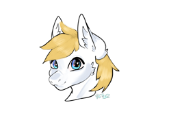 Size: 2160x1620 | Tagged: safe, artist:v-nuz, imported from derpibooru, pony, bust, ear fluff, portrait, simple background, solo, transparent background