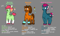 Size: 2300x1400 | Tagged: safe, artist:azulejo, imported from derpibooru, oc, oc only, oc:cherry cream, oc:shining paradise, oc:speedy rock, earth pony, pony, zebra, earth pony oc, female, hooves, male, mare, pink hair, stallion, text