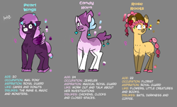 Size: 2300x1400 | Tagged: safe, artist:azulejo, imported from derpibooru, oc, oc only, earth pony, pegasus, unicorn, earth pony oc, female, horn, mare, pegasus oc, unicorn oc