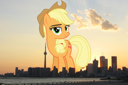 Size: 1800x1200 | Tagged: safe, artist:dashiesparkle, artist:thegiantponyfan, imported from derpibooru, applejack, earth pony, pony, canada, cowboy hat, female, giant pony, giant/macro earth pony, giantess, hat, highrise ponies, irl, macro, mare, mega applejack, mega giant, photo, ponies in real life, stetson, toronto