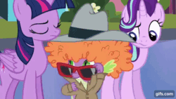 Size: 640x360 | Tagged: safe, imported from derpibooru, screencap, spike, starlight glimmer, twilight sparkle, alicorn, dragon, pony, unicorn, season 6, the times they are a changeling, animated, crystal empire, eyes closed, female, gif, gifs.com, male, mare, open mouth, shrunken pupils, stallion, sunglasses, twilight sparkle (alicorn)