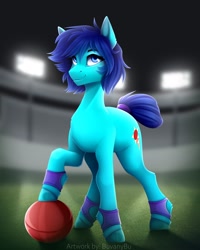 Size: 1728x2160 | Tagged: safe, artist:buvanybu, imported from derpibooru, oc, oc only, oc:swift striker, earth pony, pony, ball, blue eyes, earth pony oc, hooves, shadow, signature, smiling, solo, standing