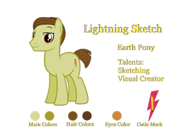 Size: 2160x1620 | Tagged: safe, artist:georgegarza01, imported from derpibooru, oc, oc only, oc:lightning sketch, cutie mark, raised eyebrow, reference sheet, simple background, solo, transparent background, vector