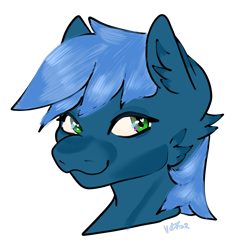 Size: 2048x2048 | Tagged: safe, artist:v-nuz, imported from derpibooru, oc, oc only, oc:star paladin thunder, pony, fallout equestria, fallout equestria: falling ashes, simple background, solo, transparent background