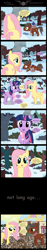 Size: 1024x5468 | Tagged: safe, artist:heffatos, deleted from derpibooru, fluttershy, twilight sparkle, oc, banned from derpibooru, comic