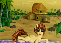 Size: 1024x724 | Tagged: safe, artist:heffatos, deleted from derpibooru, oc, banned from derpibooru, beach, solo