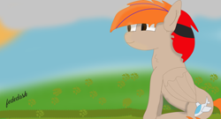Size: 7572x4080 | Tagged: safe, artist:fededash, imported from derpibooru, oc, oc only, oc:fededash, pegasus, pony, cloud, day, folded wings, grass, outdoors, pegasus oc, sitting, sky, smiling, sun, wings