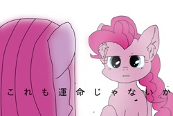 Size: 900x600 | Tagged: safe, artist:namaenonaipony, imported from derpibooru, pinkie pie, earth pony, pony, duality, japanese, looking at each other, looking at someone, pinkamena diane pie, simple background, white background