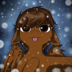 Size: 2160x2160 | Tagged: safe, imported from derpibooru, oc, oc:mazz, pegasus, pony, :p, christmas, commission, cute, ears back, floppy ears, holiday, licking, male, selfie, snow, snowfall, solo, stallion, tongue out, winter