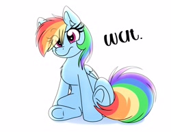 Size: 3300x2550 | Tagged: safe, artist:lbrcloud, imported from derpibooru, rainbow dash, pegasus, pony, confused, raised eyebrow, simple background, solo, wat, white background