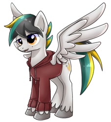 Size: 885x973 | Tagged: safe, artist:namaenonaipony, imported from derpibooru, oc, oc only, pegasus, pony, clothes, jacket, simple background, solo, white background