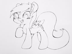 Size: 1024x768 | Tagged: safe, artist:zokkili, imported from derpibooru, derpy hooves, pegasus, pony, ear fluff, lineart, solo, traditional art