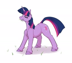 Size: 2175x1916 | Tagged: safe, artist:aquaticvibes, twilight sparkle, pony, unicorn, behaving like a horse, dock, eating grass, grass, simple background, unicorn twilight