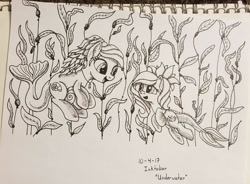 Size: 1200x884 | Tagged: safe, artist:vinylbecks, imported from derpibooru, oc, oc only, merpony, pony, female, fish tail, flowing tail, inktober, looking at each other, looking at someone, monochrome, ocean, open mouth, seaweed, smiling, tail, traditional art, underwater, water