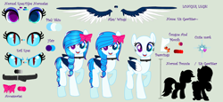 Size: 5520x2536 | Tagged: safe, artist:yulianapie26, imported from derpibooru, oc, oc only, oc:eis gewitter, pegasus, pony, base used, colored wings, eyelashes, female, heterochromia, mare, pegasus oc, raised hoof, reference sheet, simple background, slit pupils, smiling, transparent background, two toned wings, wings
