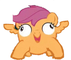 Size: 950x800 | Tagged: safe, artist:creamyogurt, imported from derpibooru, scootaloo, crab pony, pony, cursed image, meme, not salmon, simple background, solo, transparent background, wat