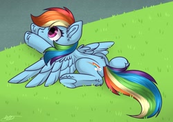 Size: 2790x1964 | Tagged: safe, artist:fufuvhrumov, imported from derpibooru, rainbow dash, wonderbolts academy, grass, scene interpretation, signature, solo