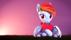 Size: 3840x2160 | Tagged: safe, artist:lagmanor, imported from derpibooru, part of a set, rainbow dash, pegasus, pony, 3d, blushing, dawn, embarrassed, female, flower, grass, grass field, heart, hearts and hooves day, high res, hoof hold, hooves, looking at you, mane, mare, mouth hold, rose, shy, sitting, solo, source filmmaker, sunrise