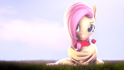 Size: 3840x2160 | Tagged: safe, artist:lagmanor, imported from derpibooru, part of a set, fluttershy, pegasus, pony, 3d, blushing, cute, daaaaaaaaaaaw, female, flower, grass, grass field, heart, hearts and hooves day, high res, holiday, hoof hold, hooves, looking at you, mane, mare, morning, mouth hold, rose, shy, shyabetes, sitting, smiling, smiling at you, solo, source filmmaker, valentine's day