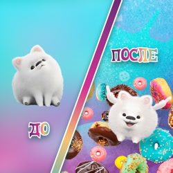 Size: 1080x1080 | Tagged: safe, imported from derpibooru, dog, pomeranian, candy, cloudpuff, cute, cyrillic, donut, fluffy, flying, flying pomeranian, food, g5, meme, my little pony: a new generation, official, russia, russian, sitting, social media, sweets, translated in the description, vkontakte, winged dog, wings