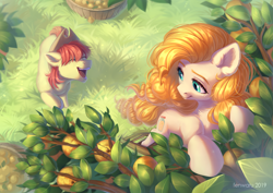 Size: 3507x2480 | Tagged: safe, artist:fenwaru, imported from derpibooru, bright mac, pear butter, earth pony, pony, brightbutter, cute, duo, ear fluff, eyes closed, female, grass, high res, male, mare, open mouth, open smile, pear tree, shipping, smiling, stallion, straight, tree