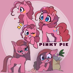 Size: 1000x1000 | Tagged: safe, artist:mametaro_m, imported from derpibooru, pinkie pie, earth pony, pony, arrow, beetroot, bust, emanata, female, full body, looking at something, looking at you, mare, one eye closed, partial background, pink background, pinkamena diane pie, plant, rock, simple background, text, wink, winking at you