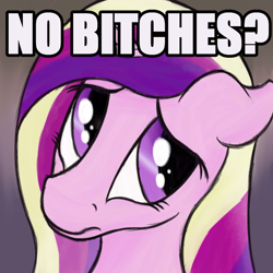 Size: 1000x1000 | Tagged: safe, artist:ahorseofcourse, imported from derpibooru, princess cadance, alicorn, pony, caption, image macro, megamind, meme, no bitches?, ponified meme, reaction image, solo, text, vulgar