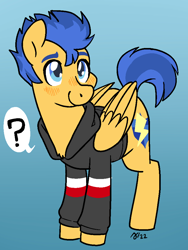 Size: 751x1000 | Tagged: safe, artist:/d/non, imported from derpibooru, flash sentry, pegasus, pony, blue hair, blushing, clothes, equestria girls outfit, februpony, hoodie, male, question mark, smiling, solo, stallion