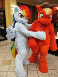 Size: 810x1080 | Tagged: safe, artist:neouka, artist:spainfischer, imported from derpibooru, applejack, rainbow dash, anthro, earth pony, human, pegasus, pony, 2011, convention, cowboy hat, duo, embrace, fursuit, g4, hat, hug, irl, irl human, photo, ponysuit, smiling, smirk, tail