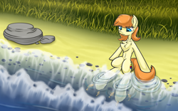 Size: 2880x1800 | Tagged: safe, artist:yufebwifbi, imported from derpibooru, oc, oc only, earth pony, fish, pony, beach, chest fluff, legs in the water, solo